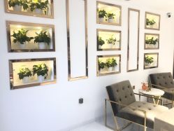 -MIVI野生眉纹绣纹眉