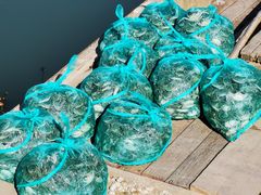 -阳澄湖半岛旅游度假区