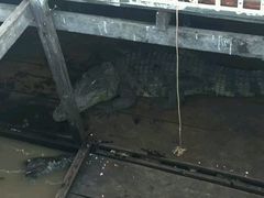 -洞里萨湖
