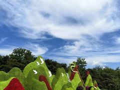 -沈阳植物园