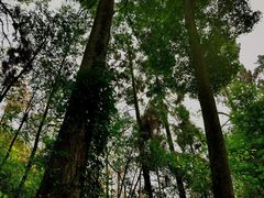 -青城山