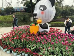 -成飞公园