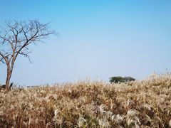 -下渚湖国家湿地公园科普馆