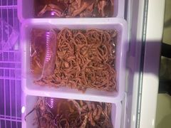 -钱商茉莉香鸭颈王(浑南店)