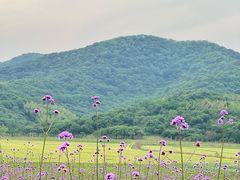-石塘人家
