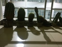 -河南师范大学(主校区)