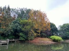 -吴淞炮台湾湿地森林公园烧烤区