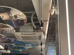 -探窝·竹笙椰子鸡(杨箕店)