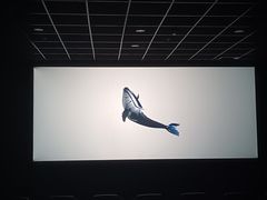 -中影德金影城(百佳华龙华店)