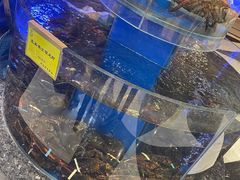 -新海渔港·胶东海鲜家常菜·家宴(奥体中心店)