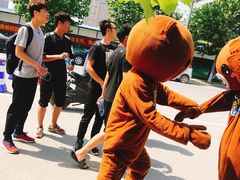 -奥帕拉拉水公园
