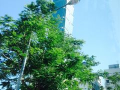 iphone_upload_pic-台北101