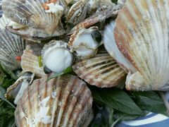 -幸福姐海鲜大排档