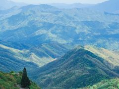 -大围山国家森林公园
