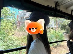 -普芬比利蒸汽火车