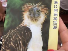 -新加坡飞禽公园