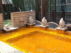 -春晖园度假酒店温泉