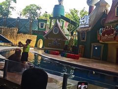 -帝企鹅自助餐厅•儿童岛•真企鹅(长隆企鹅酒店)