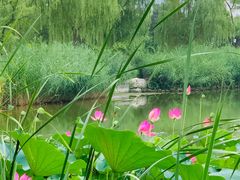 -西海子公园