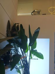 -春田皮肤管理中心品牌旗舰店