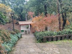 -大金鹰园