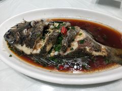 -洲晓鲜·舟山海鲜大排档(朱家尖风景区店)