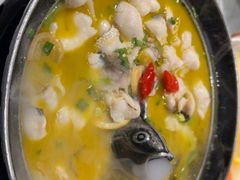 -甦杏鸡毛店(营门口店)