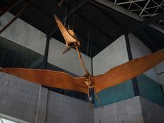 -湖南省地质博物馆