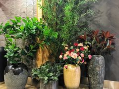 -唐沫茶兮(仓山万达金街店)