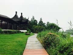 -太湖湖滨国家湿地公园-停车场