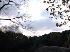 -吴淞炮台湾湿地森林公园烧烤区