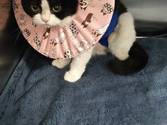 -拜鲁耶动物诊疗中心·宠家动物医院