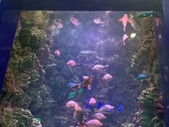 -海合安青岛极地海洋公园