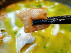 肥肠鱼-赵小姐丨新中餐(曲江店)