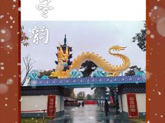 -龙华寺