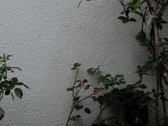 -铁炉咖啡(河下古镇店)