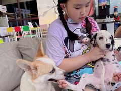 -上海崇明金茂凯悦酒店