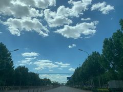 -永定河休闲森林公园