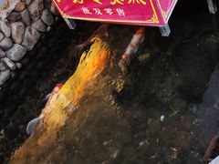 -前童古镇