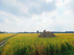 -嘉北郊野公园