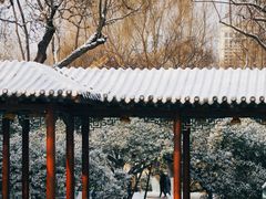 -趵突泉景区