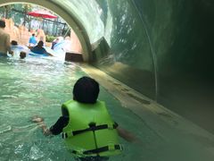 -新加坡水上探险乐园