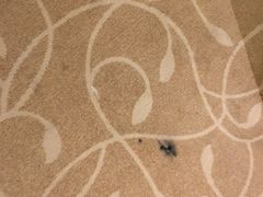 -苏州香山国际大酒店