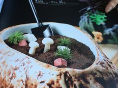 -黑土印象菜馆(三元桥店)