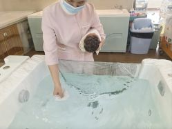 -英泽产后护理中心(南海总店)