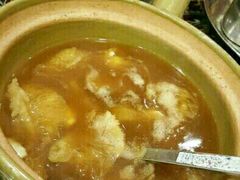 -大中鱼翅 Taitong Shark Fin