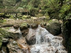 -牛背梁国家森林公园