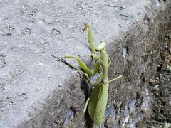 -崀山风景名胜区