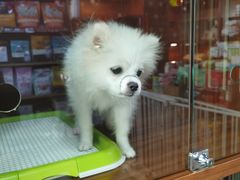 -Goku PET SHOP宠物视觉生活馆(双井店)