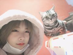 -猫色咖啡·猫咖